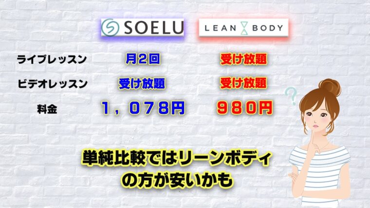 ソエルリーンボディ価格比較