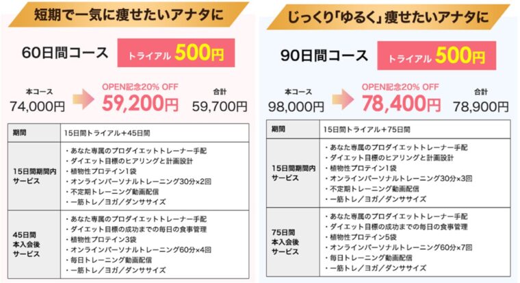 フィジコオンライン料金表