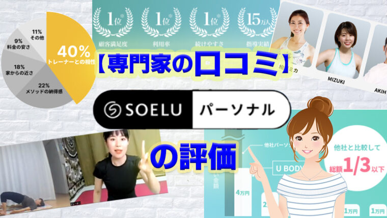 SOELUパーソナルの評価