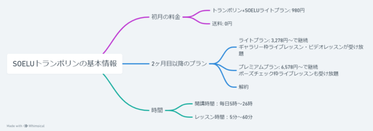 SOELUトランポリンの基本情報